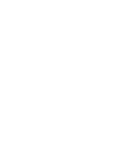 Synergy Learning Institute