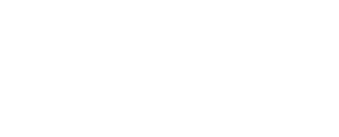 Synergy Learning Institute
